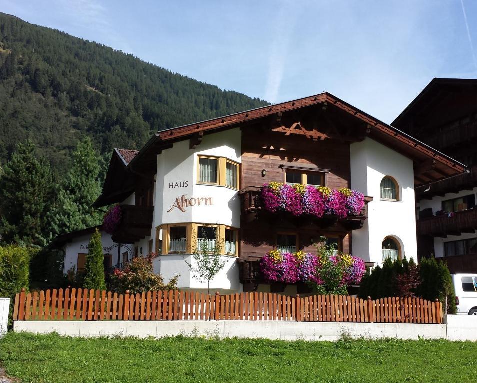 Ferienhaus Ahorn Neustift im Stubaital Ngoại thất bức ảnh